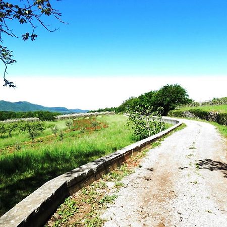 Prenocisca Iris Daire Sežana Dış mekan fotoğraf